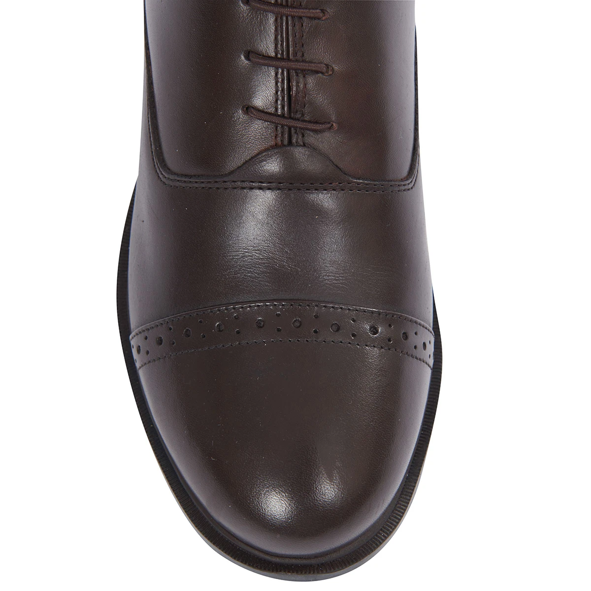 Jodhpurs Dublin Evolution Lace Bruin - Afbeelding 6